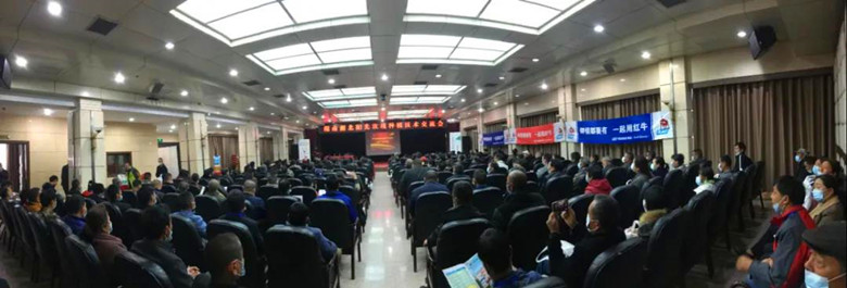 微信图片01_副本